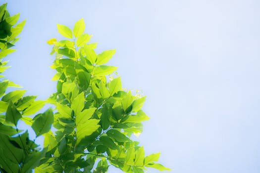 What is Amazon Prime Day? And is it a scam? The inside scoop from shopping editors